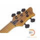 Schecter Stiletto Session-5 Schecter Stiletto Session-5