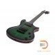 Schecter Tempest 40th Anniversary Schecter Tempest 40th Anniversary