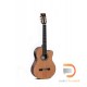 Sigma Guitars CMC-6E Sigma Guitars CMC-6E