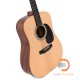 Sigma Guitars DM-ST+ Sigma Guitars DM-ST+