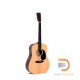 Sigma Guitars DM-ST+ Sigma Guitars DM-ST+