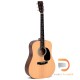 Sigma Guitars DM-ST Sigma Guitars DM-ST