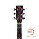 Sigma Guitars DT-1 Sigma Guitars DT-1