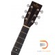 Sigma Guitars DT-1STE