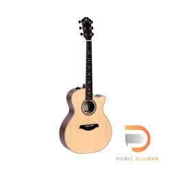 Sigma Guitars GWCE-3