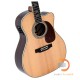Sigma Guitars JTC-40E Sigma Guitars JTC-40E