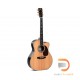 Sigma Guitars JTC-40E Sigma Guitars JTC-40E