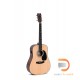 Sigma Guitars SDM-STE + Softcase Sigma Guitars SDM-STE + Softcase