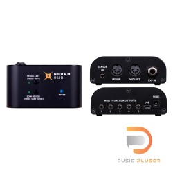 Source Audio Neuro Hub V1