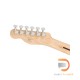 Squier Affinity Series Telecaster Deluxe Squier Affinity Series Telecaster Deluxe