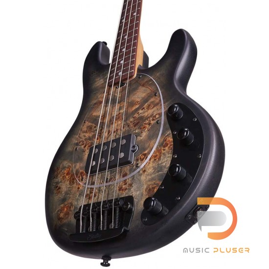 STERLING RAY34PB STINGRAY BASS