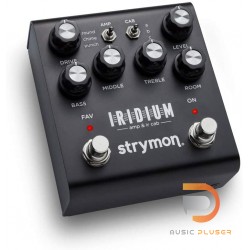 Strymon Iridium Amp & IR Cab