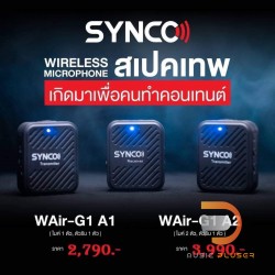 Synco WAir G1 (A2)