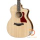 TAYLOR 214CE-K-DLX TAYLOR 214CE-K-DLX