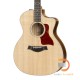 TAYLOR 214CE-K-DLX