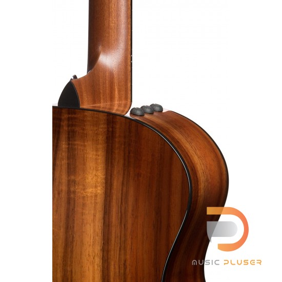TAYLOR 224CE-K DLX/ FREE CASE TAYLOR 224CE-K DLX/ FREE CASE