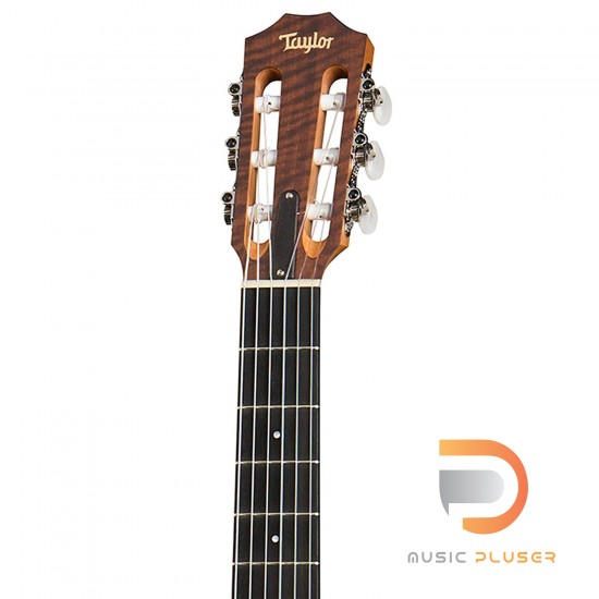 TAYLOR ACADEMY 12 NYLON STRINGS [FREE BAG]