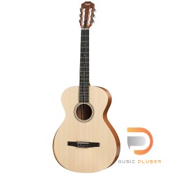 TAYLOR ACADEMY 12 NYLON STRINGS [FREE BAG]