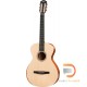 TAYLOR ACADEMY 12E-NYLON STRINGS [FREE BAG]