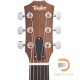 TAYLOR GS MINI-E OVANGKOL LIMITED ES-B [FREE BAG]