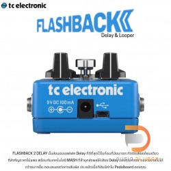 TC Electronic Flashback 2 Delay & Looper