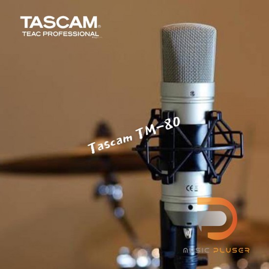 Tascam TM-80