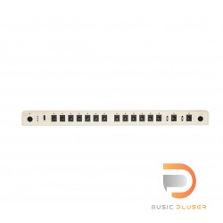 WALRUS AUDIO Canvas Power 15 – Harvest Series