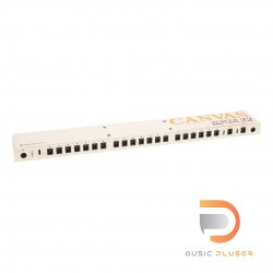WALRUS AUDIO Canvas Power 22 – Harvest Series