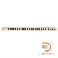 WALRUS AUDIO Canvas Power 22 – Harvest Series