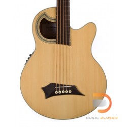Warwick Alien Deluxe Acoustic Bass 5 String