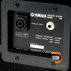 Yamaha A10