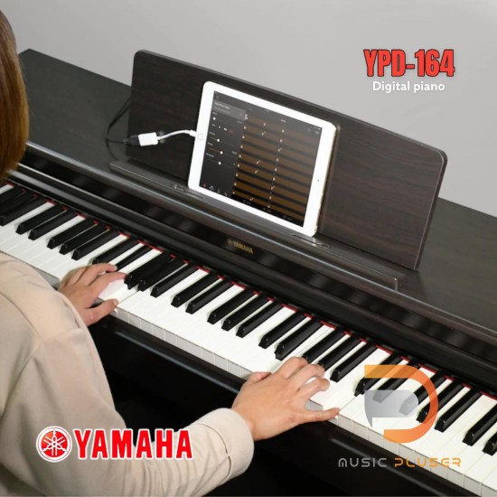 YAMAHA YDP164 R YAMAHA YDP164 R